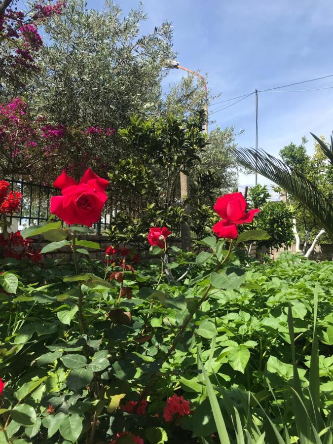 Vita Apartment - Spacious Garden And Balcony 5 Min To Beach & Center كساميل المظهر الخارجي الصورة