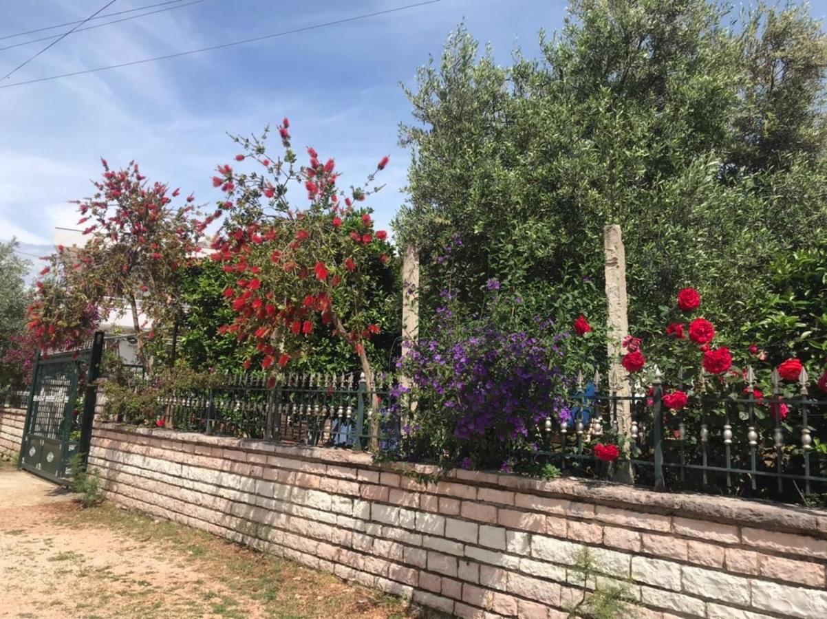 Vita Apartment - Spacious Garden And Balcony 5 Min To Beach & Center كساميل المظهر الخارجي الصورة