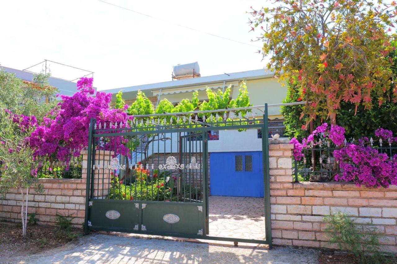 Vita Apartment - Spacious Garden And Balcony 5 Min To Beach & Center كساميل المظهر الخارجي الصورة