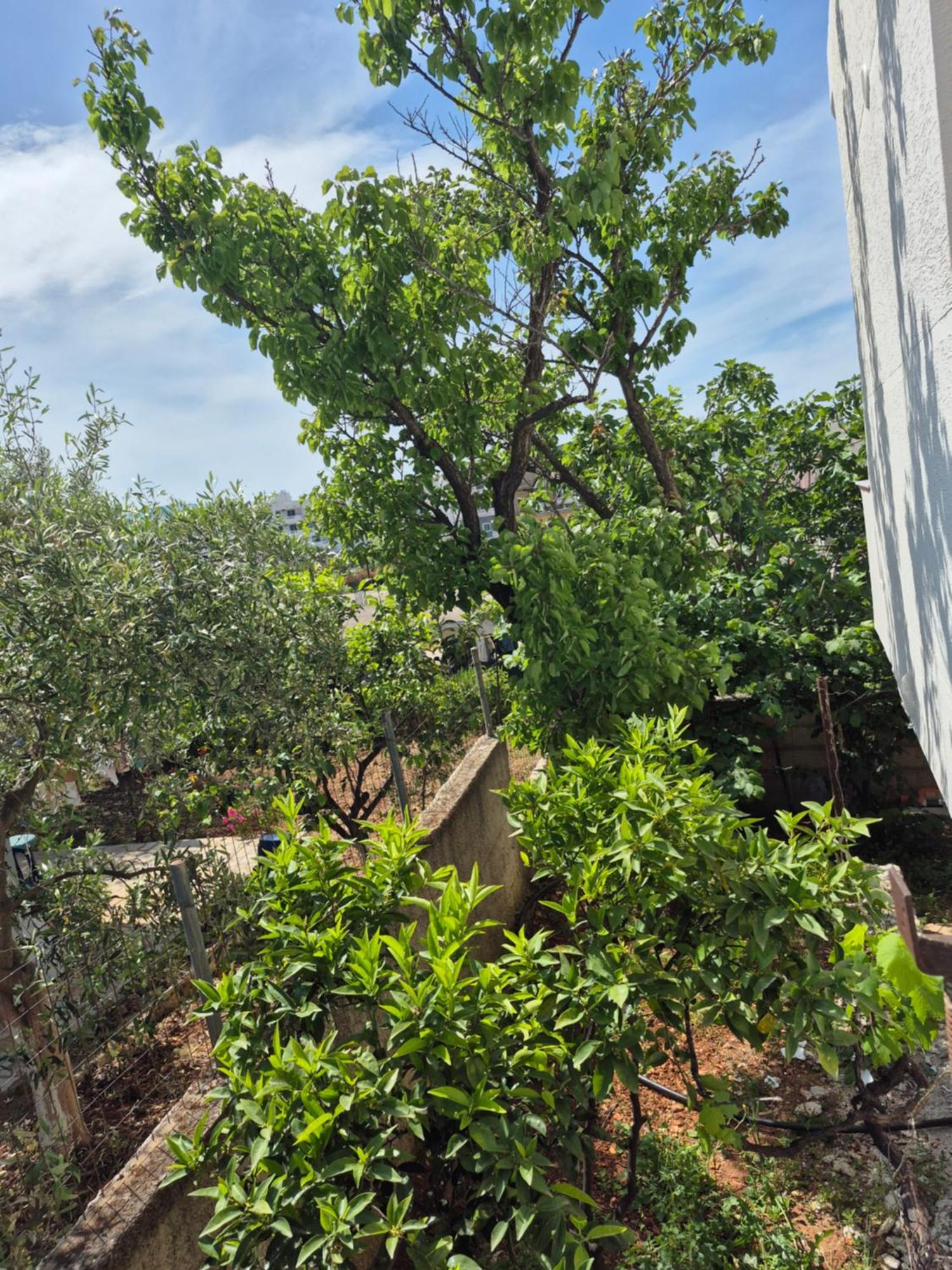 Vita Apartment - Spacious Garden And Balcony 5 Min To Beach & Center كساميل المظهر الخارجي الصورة
