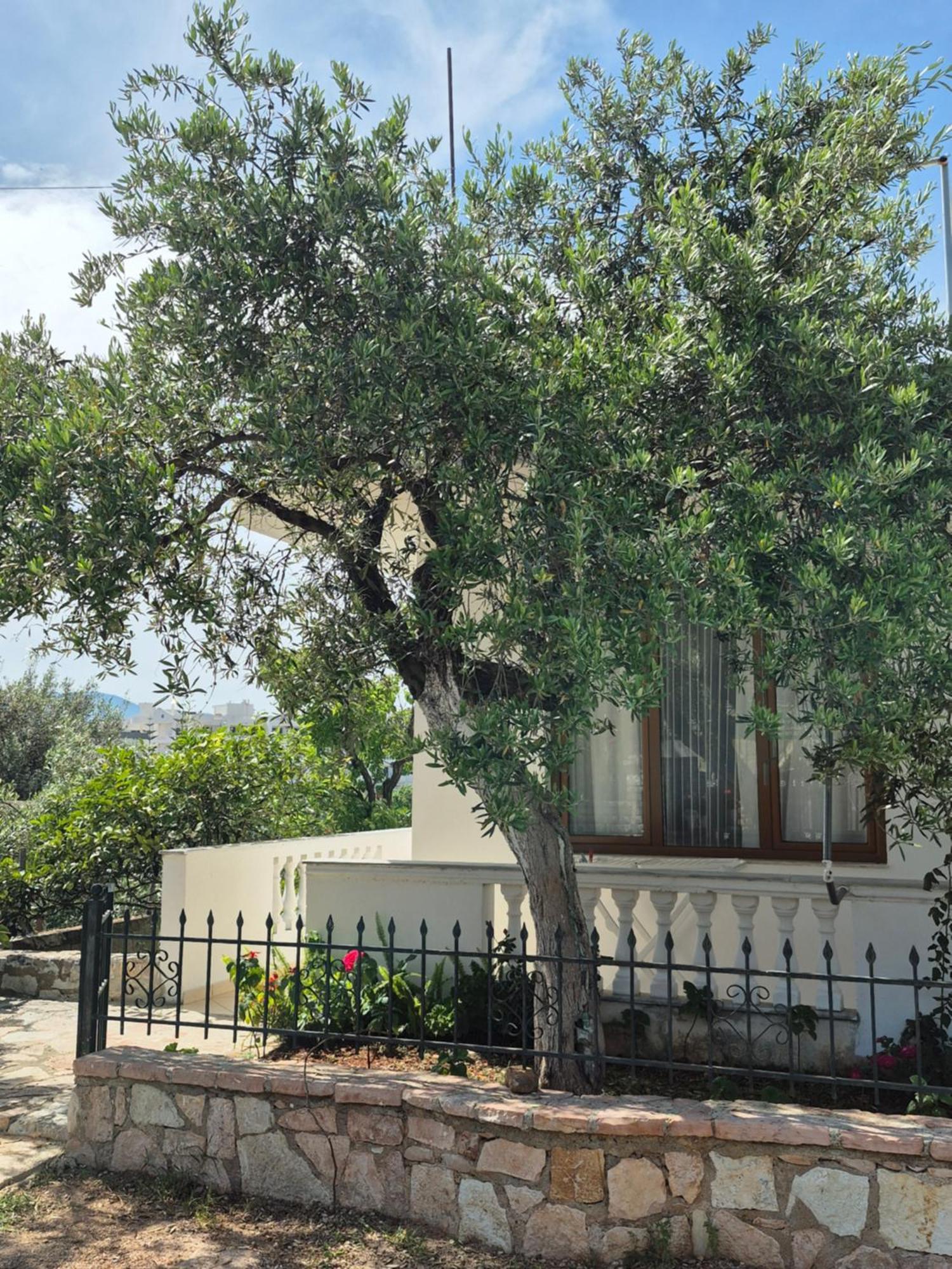 Vita Apartment - Spacious Garden And Balcony 5 Min To Beach & Center كساميل المظهر الخارجي الصورة