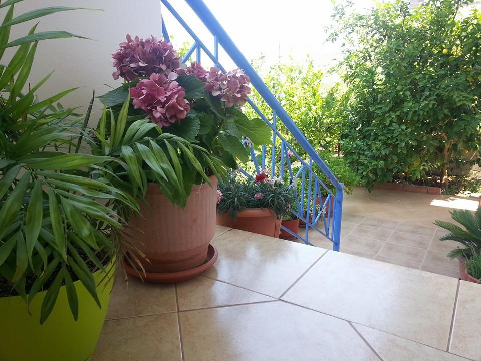 Vita Apartment - Spacious Garden And Balcony 5 Min To Beach & Center كساميل المظهر الخارجي الصورة